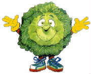 cabbage.jpg