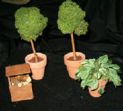 plantsandkindlingbox.jpg